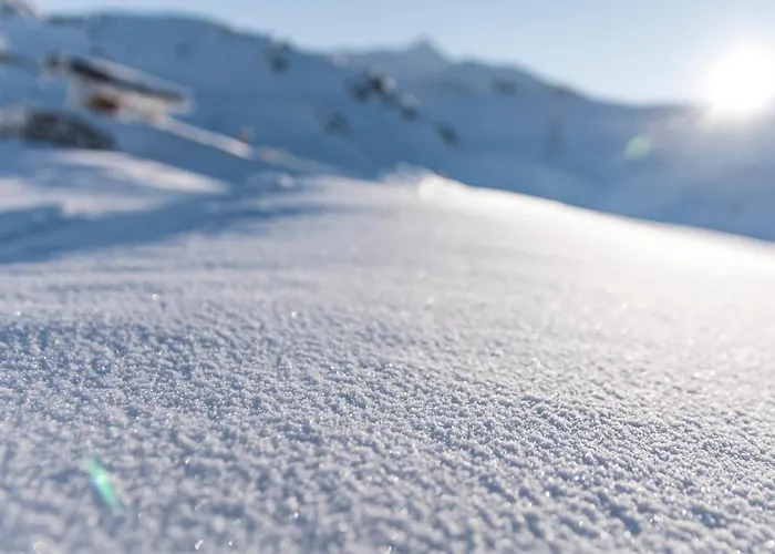 Roche Blanche Vti Daire *